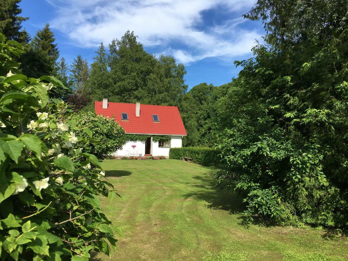 River Villa, 20 Min By Train To Old Town, Big Yard Lagedi Экстерьер фото