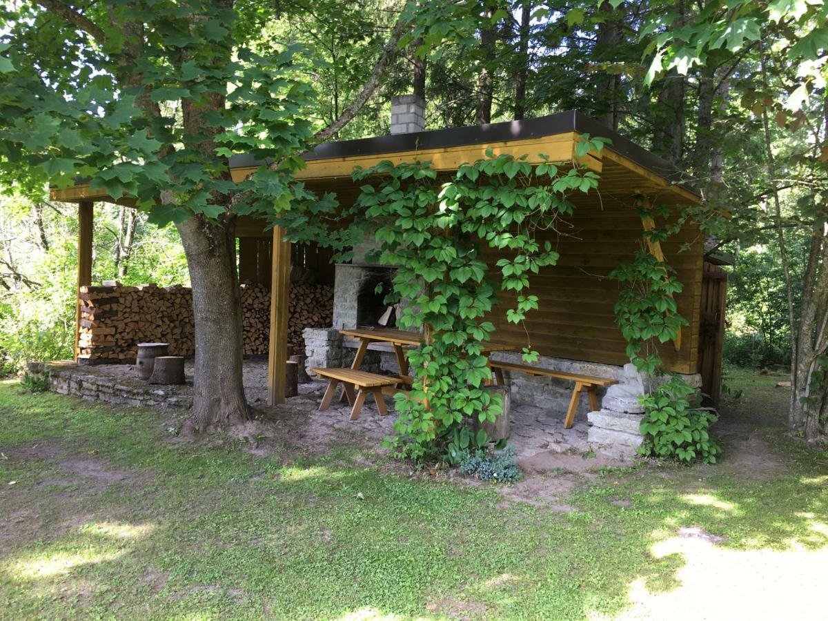 River Villa, 20 Min By Train To Old Town, Big Yard Lagedi Экстерьер фото